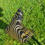 Ping PLD Anser 30, limited edition Image 6