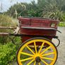 Horse Trap Image 3