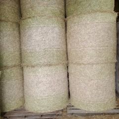 Hay