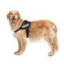 JULIUS K9 IDC Power Harness Black Image 5