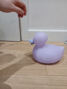 duck toy