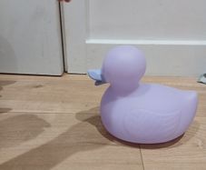 duck toy
