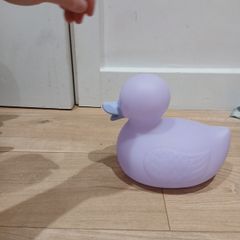duck toy
