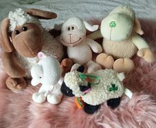 Collection of Sheep Soft Toys