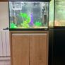 Fluval 90l Tank with stand Image 2
