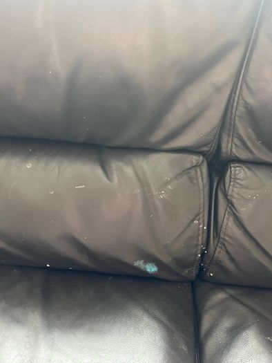 Black Leather Couch