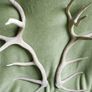 Deer Antlers (30" high) Image 9