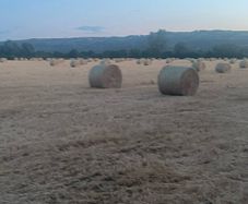 Straw bales