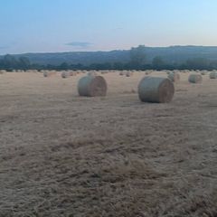 Straw bales