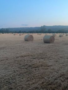 Straw bales