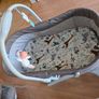 Chicco - Baby crib 4-1 Image 4