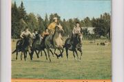My Horse #8 Rare Comic