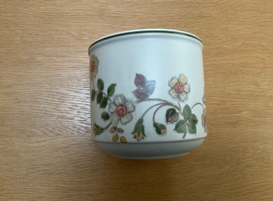 Indoor plant pot holder