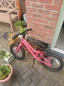 Kids Ridgeback Bike