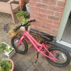 Kids Ridgeback Bike