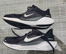Nike Air zoom Pegasus 41