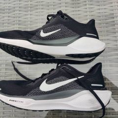 Nike Air zoom Pegasus 41