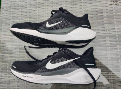 Nike Air zoom Pegasus 41