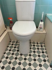 Raised Ceramic Toilet and cistern