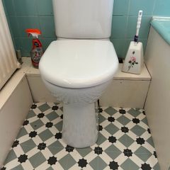 Raised Ceramic Toilet and cistern