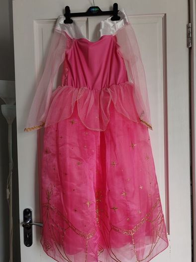 Disney Sleeping beauty costume
