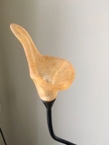 Table Lamp & Ceiling Light
