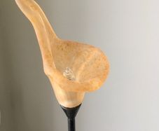 Table Lamp & Ceiling Light