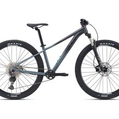 Giant Tempt Ocean Storm bike. Size M