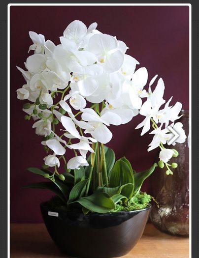 Extra Large Beautifull Flower like real 60 cm tall
