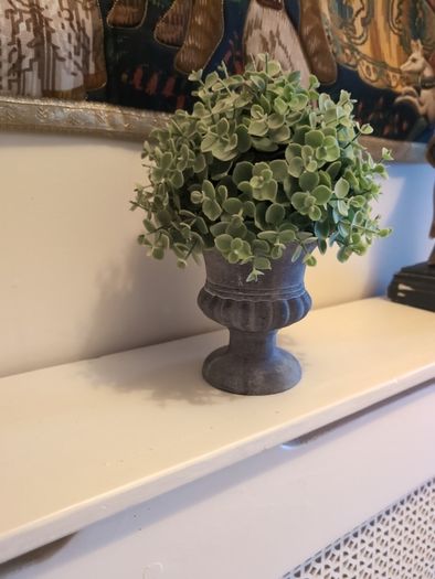 faux classic faux plant