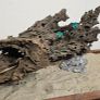 Dragon Wood Image 7