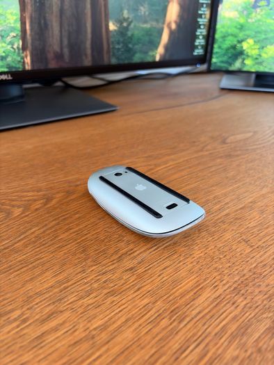 Magic Mouse