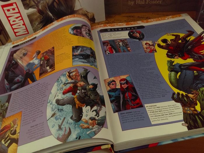 The DC Comics Encyclopedia ! The Definitive Guide To The Characters Of The DC Universe ! Beautiful Hardback !