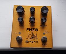Meris Enzo