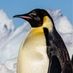 Tothepenguin