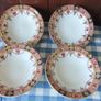 Arklow Pottery Alton Range 812.   22 Pieces Image 8