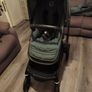 Bugaboo Fox 5 in Forest Green Image 5