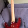 Ibanez Image 2