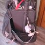 Graco travel cot good condition with mattress Image 4