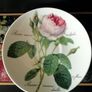 NEW Roy Kirkham Redoute breakfast teacup and saucer Image 5