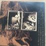 Pixies Come on Pilgrim 1987 pressing Image 2