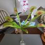 Venus flytrap artificial plant Image 2