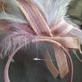 Fascinator/Two Tone Feathers .. Price Drop Image 6