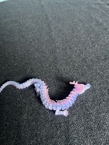 Fidget dragon and tube