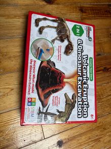 Volcanic Experiment and Dinosaur Excavation