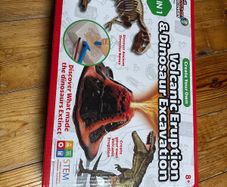 Volcanic Experiment and Dinosaur Excavation