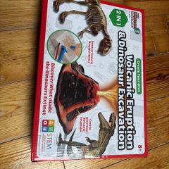 Volcanic Experiment and Dinosaur Excavation