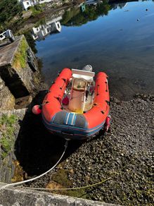 Yam 480r Rib 50Hp Honda