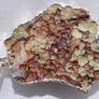 Genuine Cluster Golden Citrine   PENDANT  IN SILVER - Pendant 1,9" Image 6