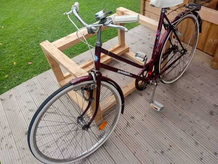 adults bike